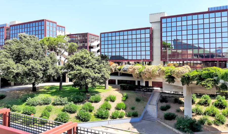 sede digital engineering sede digital engineering